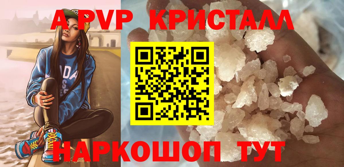 Альфа ПВП СК КРИС Ставрополь