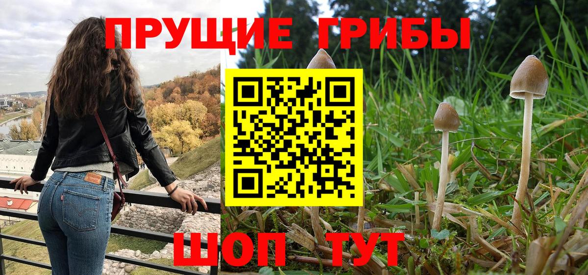 Галлюциногенные грибы мухоморы  Вход с VPN  Ставрополь  Псилоцибиновые грибы Magic Shrooms 