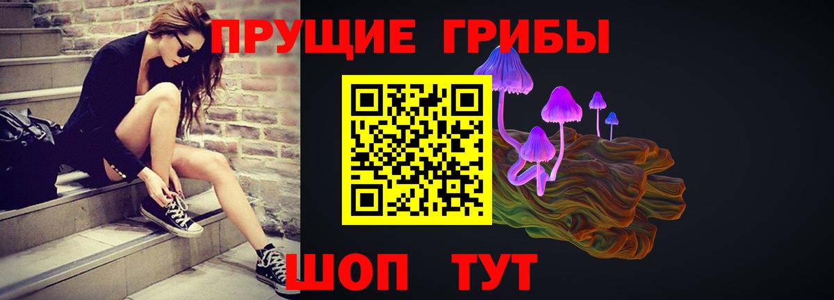 Псилоцибиновые грибы мухоморы Ставрополь